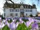 Frühlingsstimmung Foto: Schloss Bottmingen