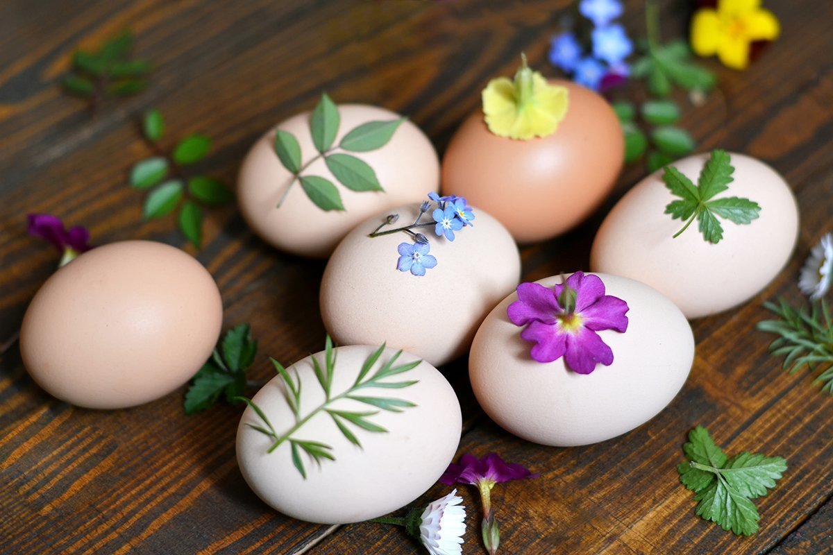 Eier, die vor dem Färben mit Motiven aus Blüten und Blättern belegt werden.
