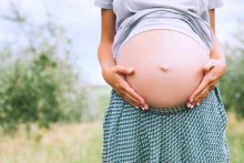 Progesteron: Sexualhormon steuert die Schwangerschaft