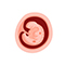 Embryo in der 5. SSW