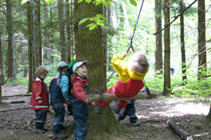 Im Wald verteilte Spielgeräte bieten den Waldschülern die Gelegenheit sich auszutoben.