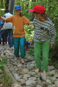Faire de la randonnée avec des enfants: Le sentier de découverte de la forêt Bannwald à Olten