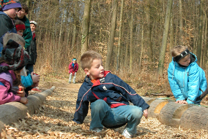 Wandern mit Kindern: Der Walderlebnispfad Bannwald in Olten