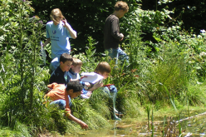 Faire de la randonnée avec des enfants: Le sentier de découverte de la forêt Bannwald à Olten