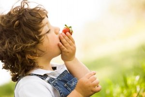 Knallrot und süss: So können Sie Erdbeeren pflanzen