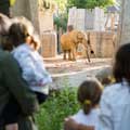 Tierisches Vergnügen: Wir verlosen fünf Freikarten für den Zoo Basel