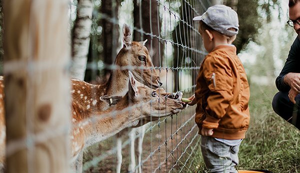Dans les parcs animaliers, les enfants peuvent approcher de très près les animaux indigènes. Vous trouverez ici les plus beaux parcs animaliers de Suisse.