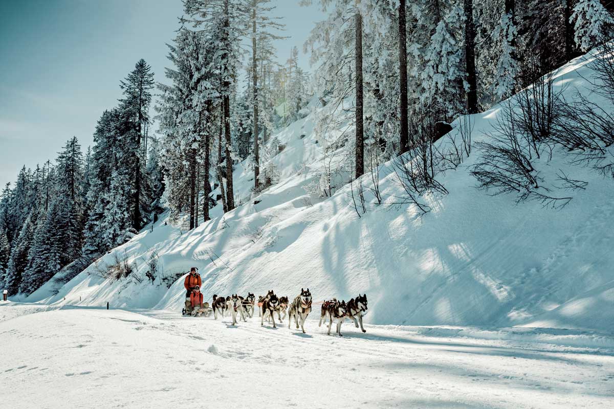 Mit dem Huskyschlitten fährt eine Familie durch die verschneite Landschaft.